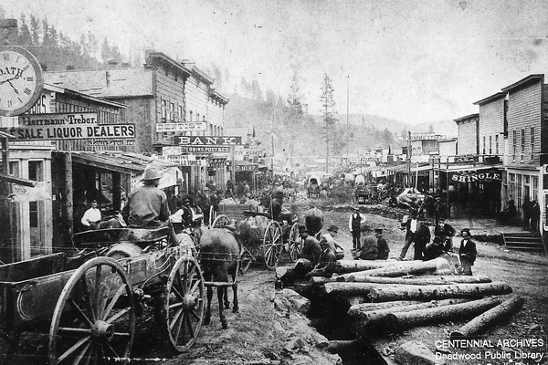 Deadwood-logs