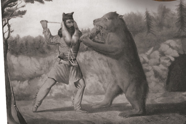 Bear-fight