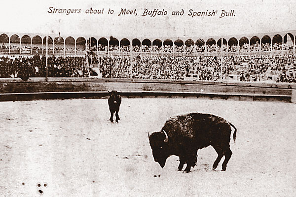 Cowboy Scotty Philip set the stage for the 100-year-old bullfight.