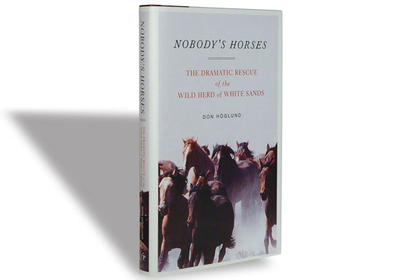 nobodys-horses