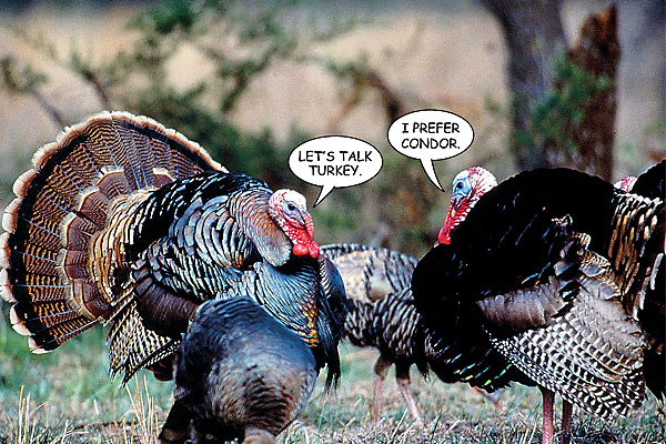 Gobble gobble goofs that will make you laugh.