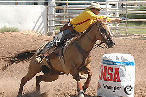 2009_cowboy_mounted_shooter