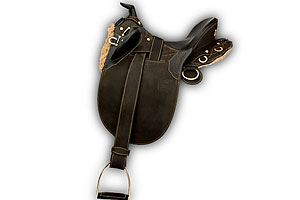 2009_saddle