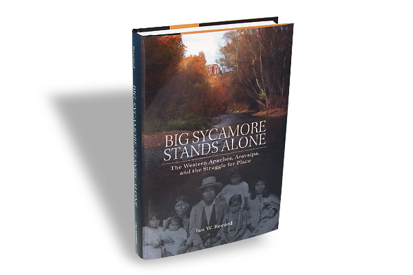 Big Sycamore Stands Alone (Nonfiction)