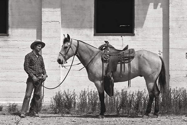 Monk Maxwell shows us the three phases of California vaquero-style horse training.