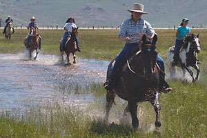 best_dude_ranch_hunewell_guest_ranch_cattle_drive