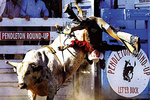 best_professional_rodeo_pendleton_round_up_oregon_let_er_buck
