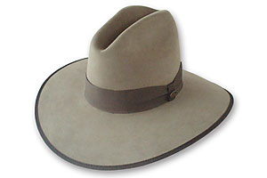 best_western_hatmaker_beaver_brand_hats_1860