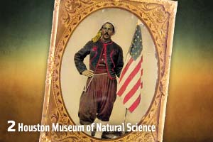 houston-museum-of-natural-science_zouave_north-africa