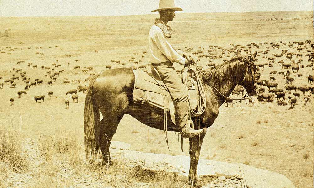 The True History of Lonesome Dove
