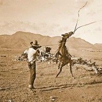 Arizona’s Cowboys and Cattle - True West Magazine