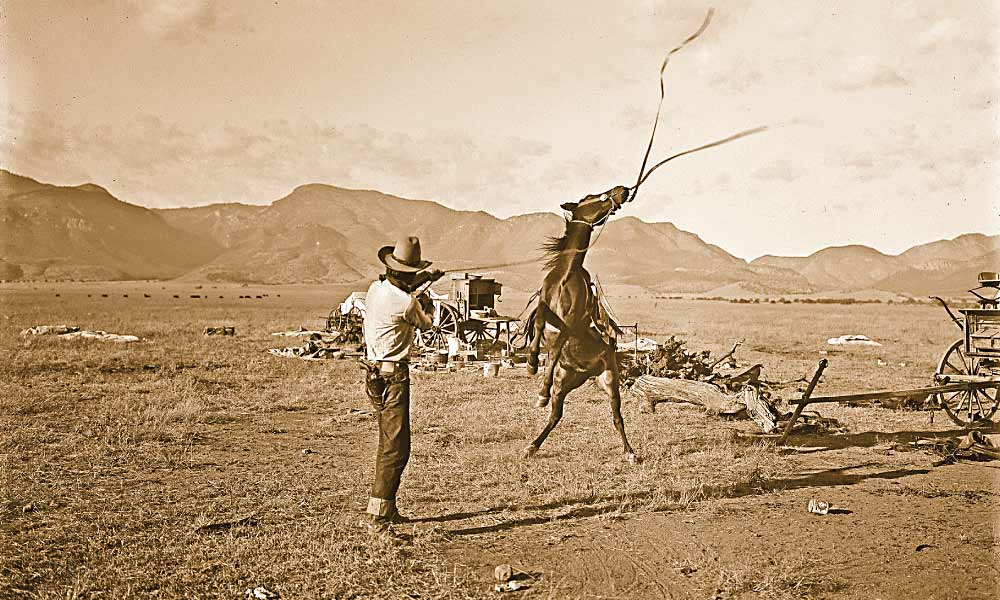 Arizona’s Cowboys and Cattle