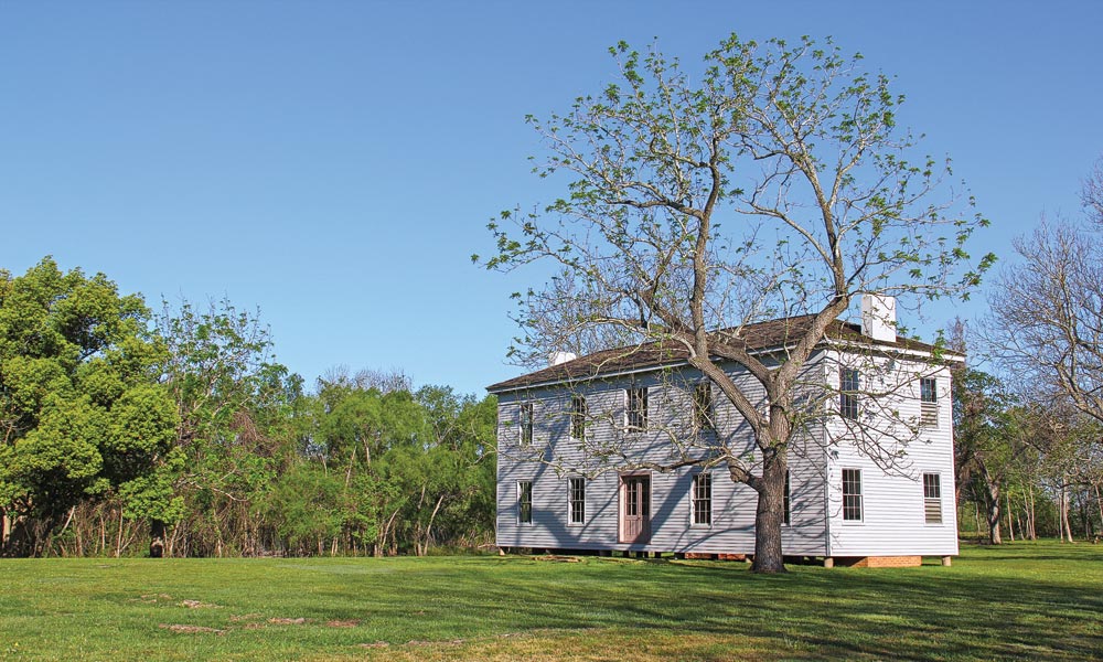 Texas Captains of Cotton and Cattle