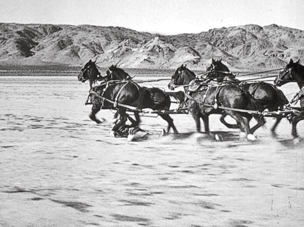 stagecoach stunt yakima canutt true west