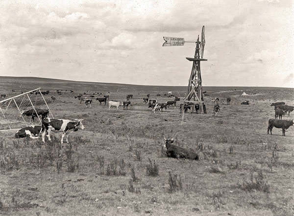 JW Jarrott Mollie Jarrott Cattle Ranchers Settlers True West