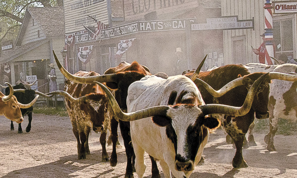 Cattle Towns True West Magazine Wichita