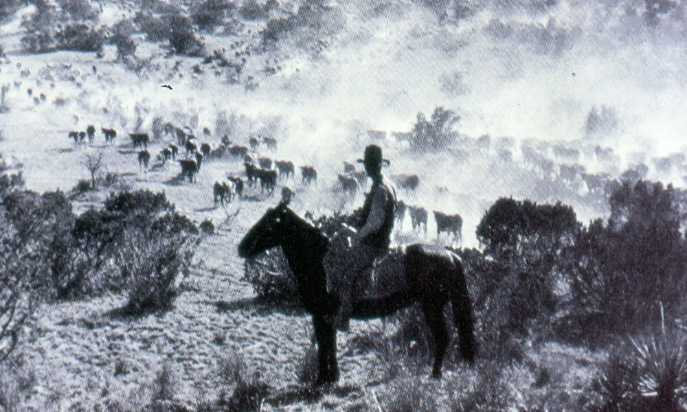 Hazards on the Long Trail