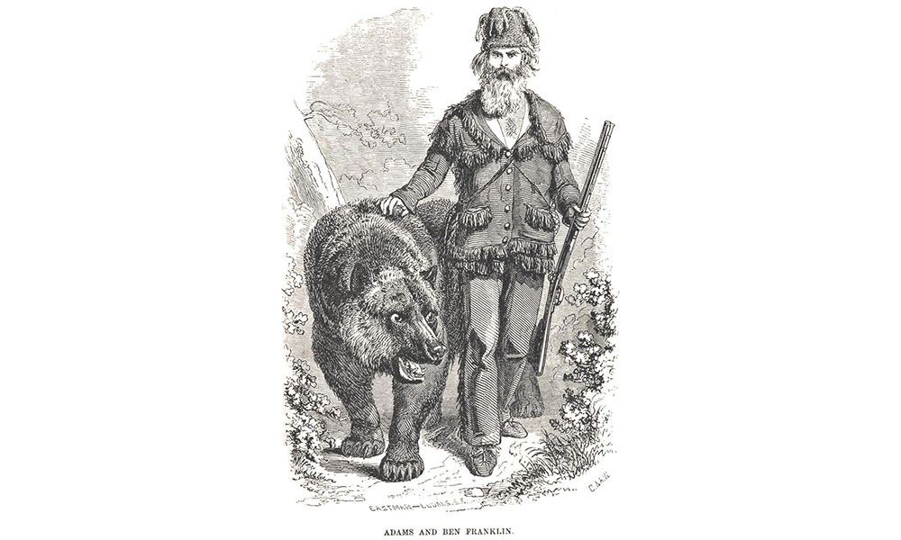 Grizzly Adams Illustration