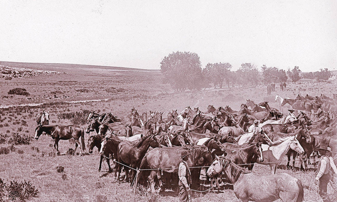 historic cattle drive in the west true west magazine