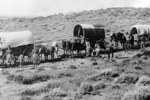 What did the wagon trains do for toilet paper during those long trips ...