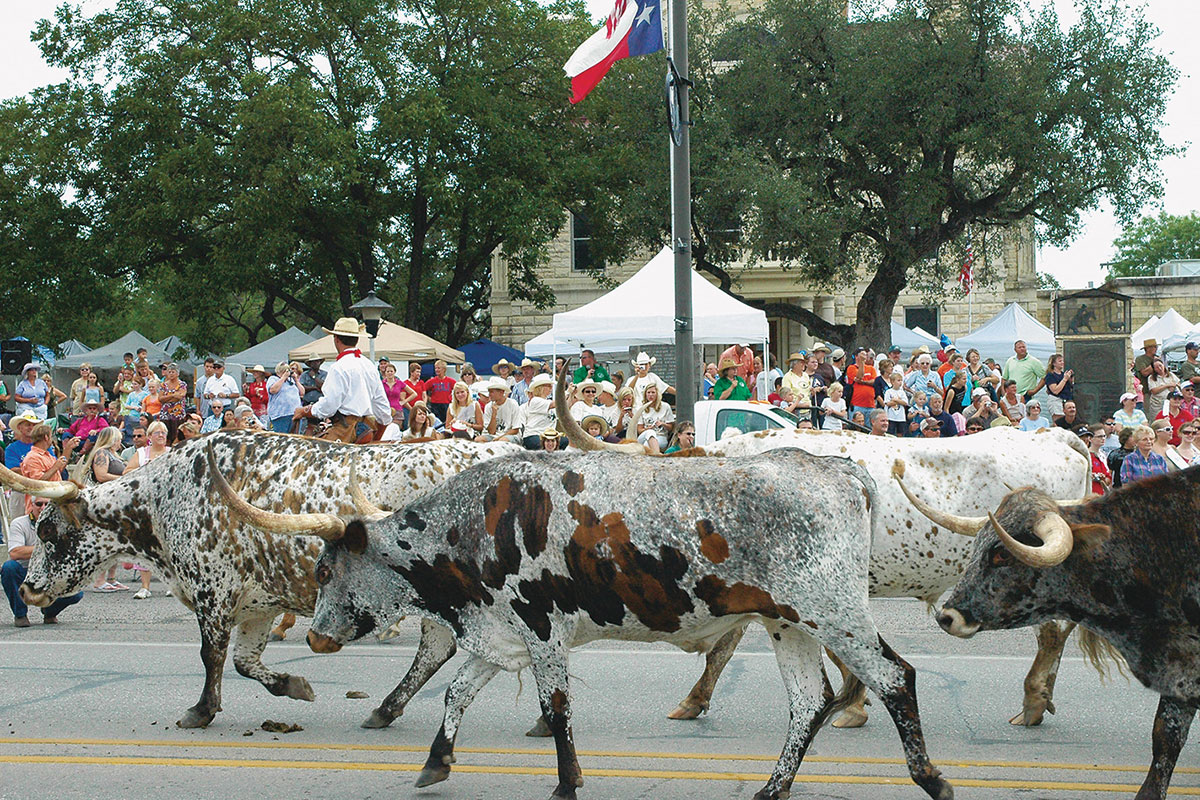 experience bandera texas cattle drive true west magazine