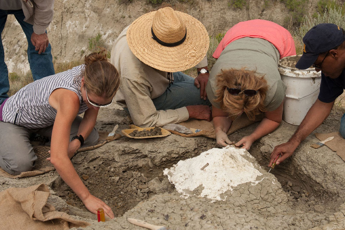 Things To Do In Montana’s Missouri River Country Sponsored by Missouri River Country