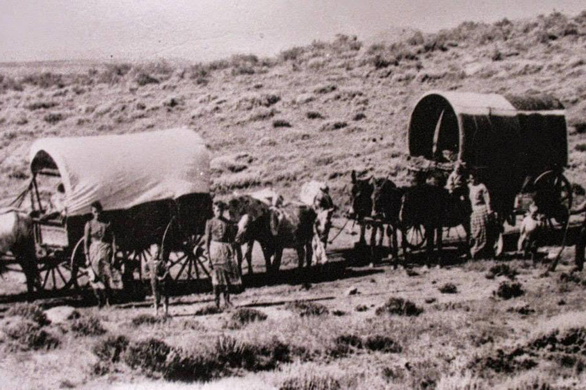 Wagons That Won The West Most covered wagons used in the westward expansion was farm wagons with canvas tops.