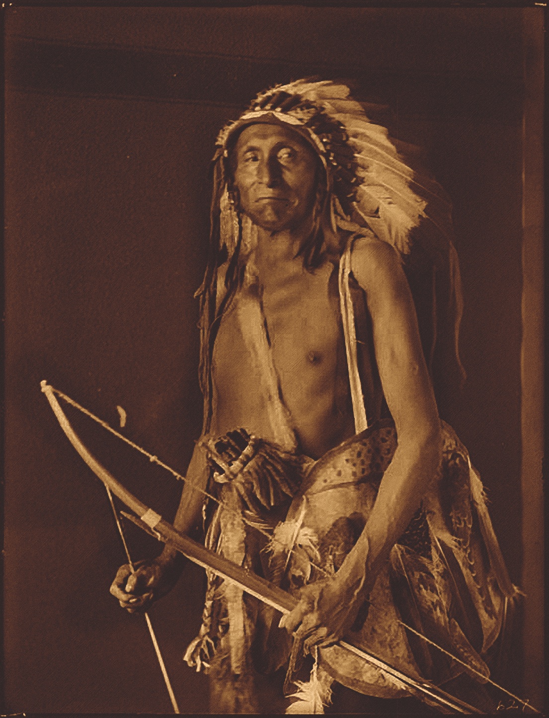 Poison Arrows : North American Indian Hunting and Warfare