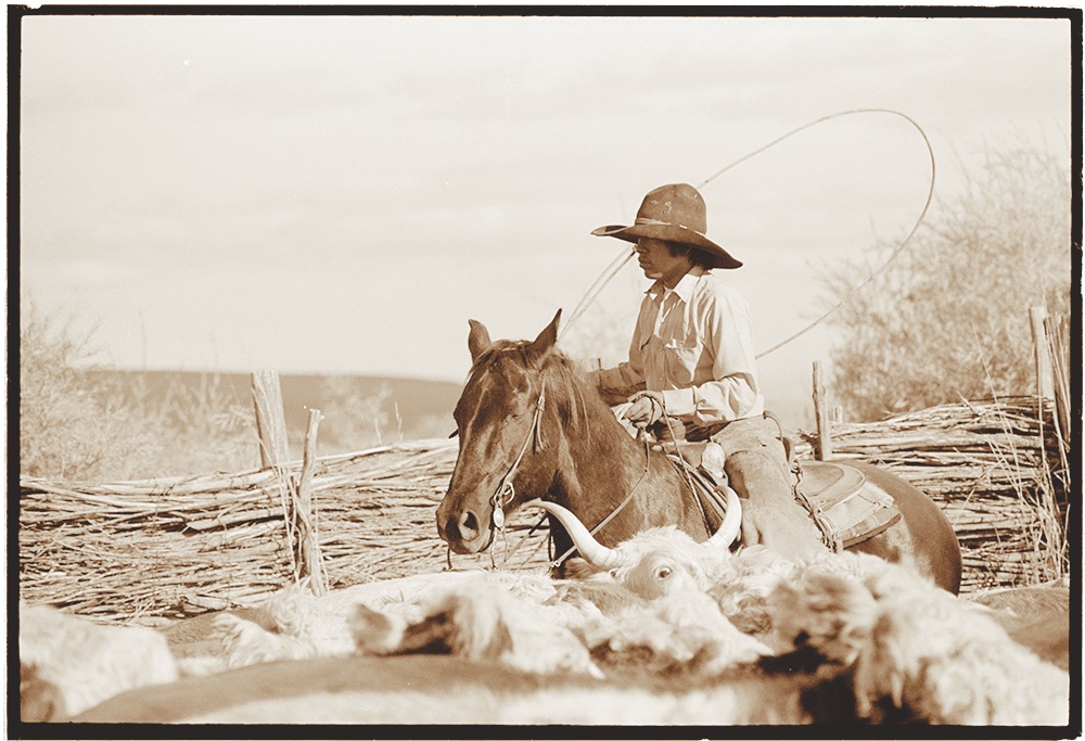 The Cowboy Hat Phenomenon  Meanwhile, back at the ranch…