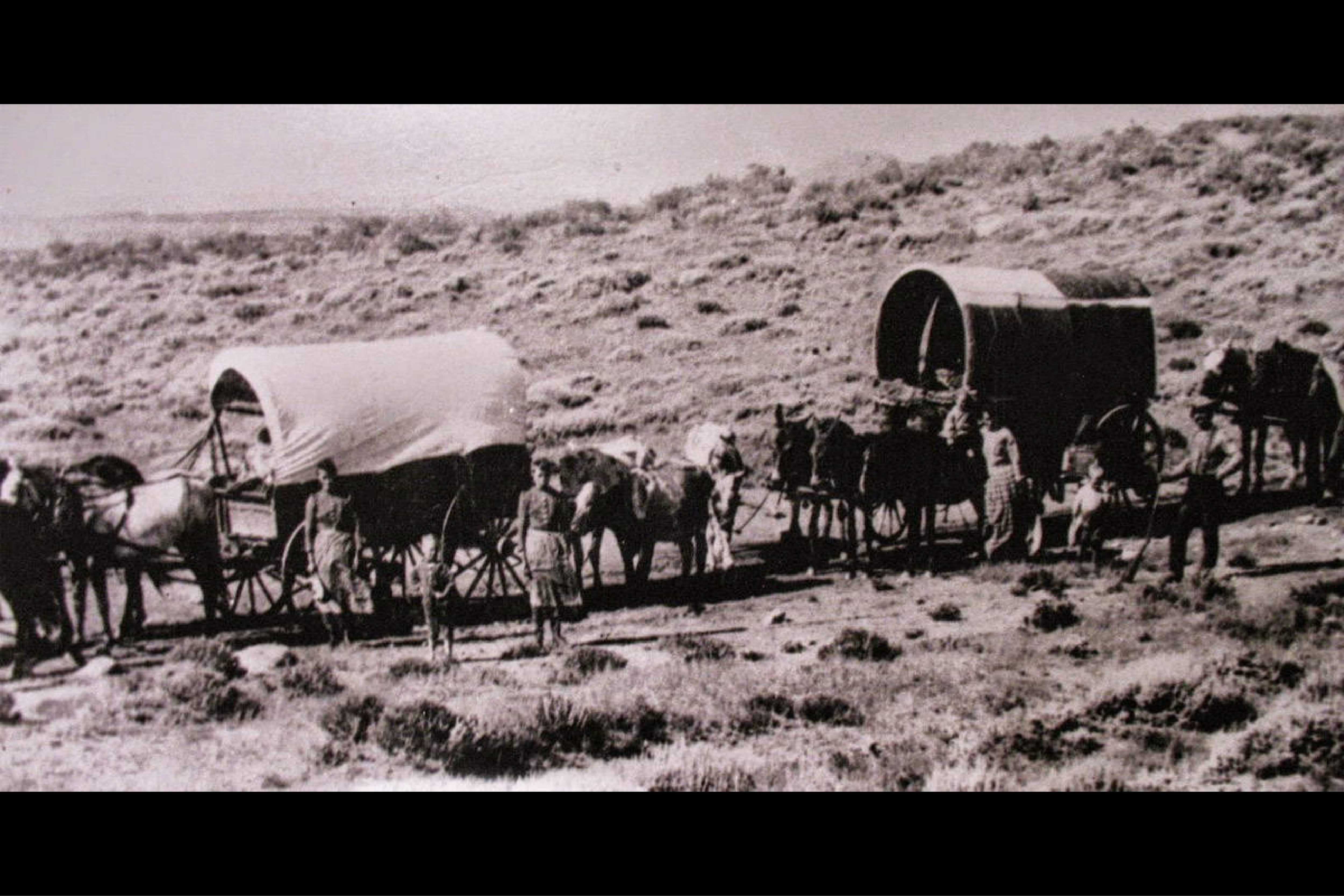 oregon trail families