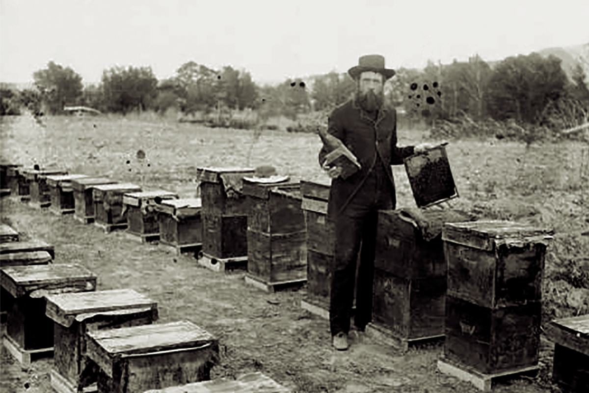 Six Black Beekeepers On What It Means To Work In Nature