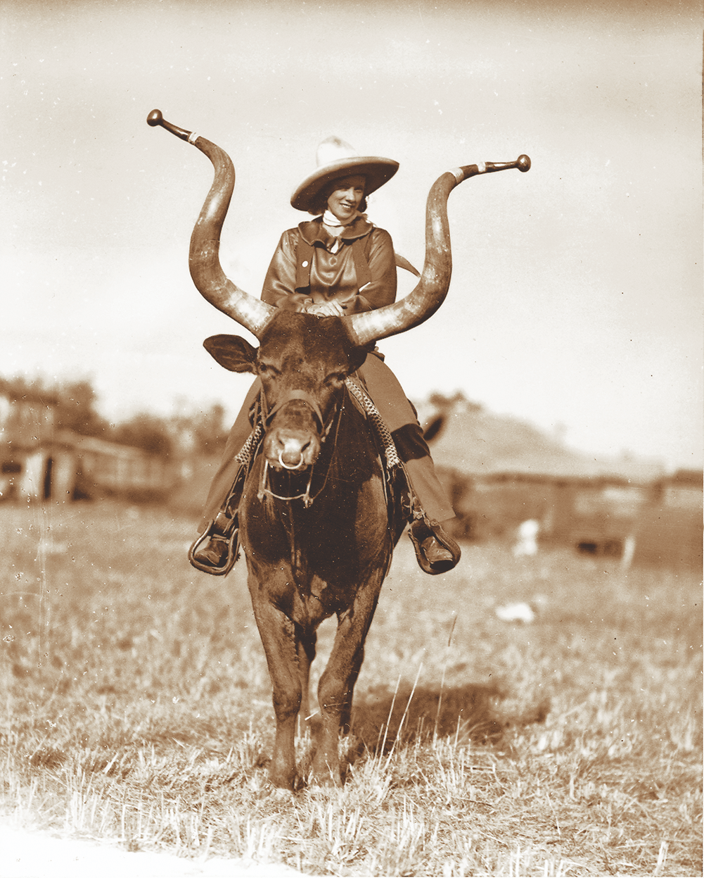 Cowboys Team Rope a Steer at the Warbonnet Roundup Rodeo Editorial Photo -  Image of annual, buck: 175855951