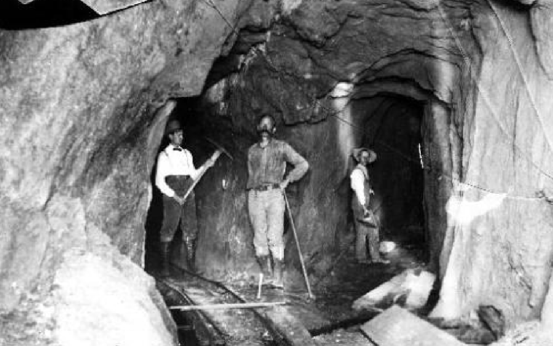 Hard Rock Miners