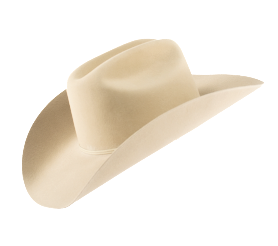 Hats from Western celebrities appear regularly at Brian Lebel’s auctions. In Mesa, a Stetson made for James Coburn sold for $2,299, well over twice its estimated price.